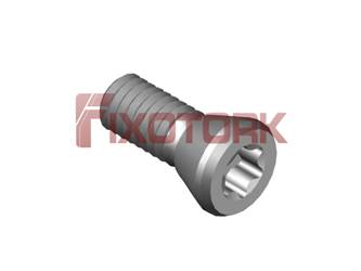 PARAFUSO TORX 40L11-G6720