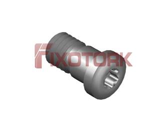 PARAFUSO TORX 60L13-Y8520