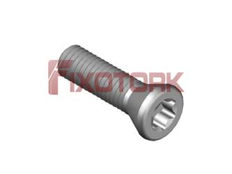 PARAFUSO TORX 1/8L12-W5515