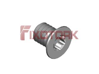 PARAFUSO TORX 40L55-W6615
