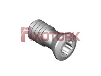 PARAFUSO TORX 35L68-A4810