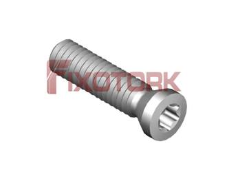PARAFUSO TORX 25L10-A3507