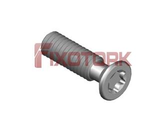 PARAFUSO TORX 35L12-PL5515