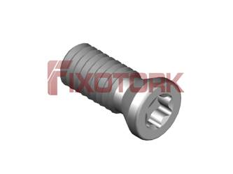 PARAFUSO TORX 40L10-B5515