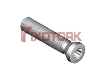 PARAFUSO TORX 25L12-A3507