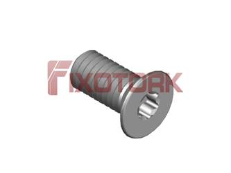 PARAFUSO TORX 35L75-W6009