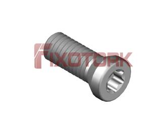 PARAFUSO TORX 30L85-A4509