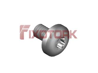 PARAFUSO TORX 35L75-L8015