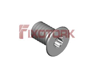 PARAFUSO TORX 35L55-W6009