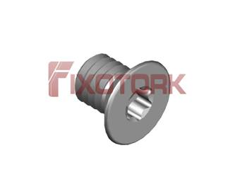 PARAFUSO TORX 35L45-W6009