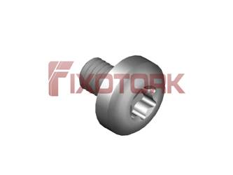PARAFUSO TORX 35L75-L8020