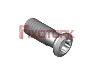 PARAFUSO TORX 35L10-G5015
