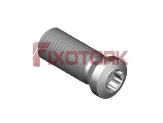 PARAFUSO TORX 45L12-H5615