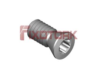 PARAFUSO TORX 25L50-W3607