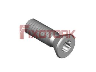 PARAFUSO TORX 40L12-K6315