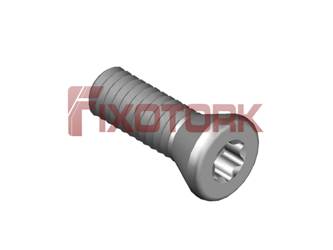 PARAFUSO TORX 1/8L10-W5510