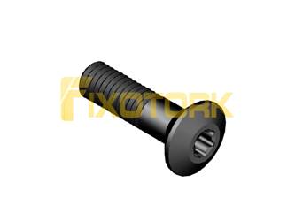 PARAFUSO TORX 50L19-Y1020P