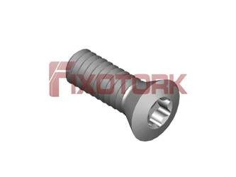 PARAFUSO TORX 20L60-B3506