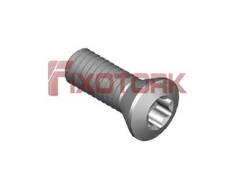 PARAFUSO TORX 35L10-B6015