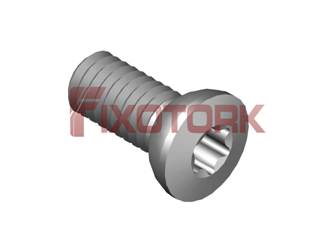 PARAFUSO TORX 40L10-AJ6815