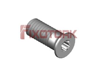 PARAFUSO TORX 50L12-W7215