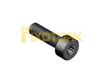 PARAFUSO TORX 30L13-D5510