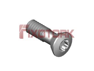 PARAFUSO TORX 25L75-H4508P