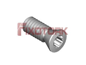 PARAFUSO TORX 25L63-W3607