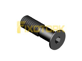 PARAFUSO ALLEN 50L17-PL80A25