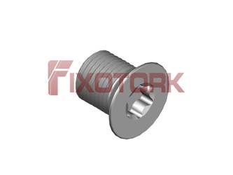 PARAFUSO TORX 35L42-W5309