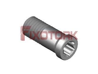 PARAFUSO TORX 25L64-N6007