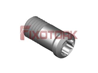PARAFUSO TORX 25L53-N2907
