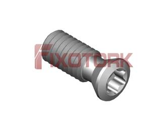 PARAFUSO TORX 40L10-K5215
