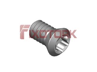 PARAFUSO TORX 18L34-B2706