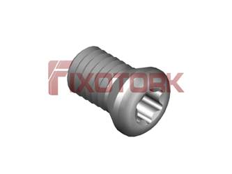 PARAFUSO TORX 30L54-A4308