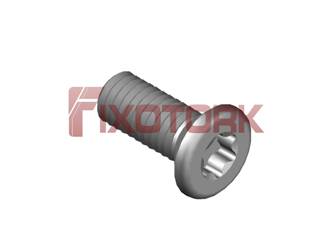 PARAFUSO TORX 30L80-W5410