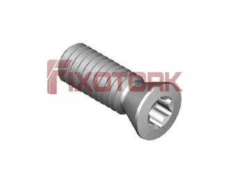 PARAFUSO TORX 25L70-W3607