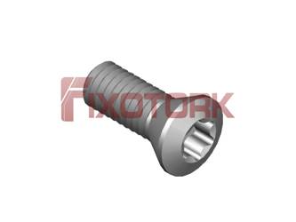 PARAFUSO TORX 35L95-B6015