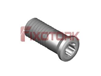 PARAFUSO TORX 50L14-B6520