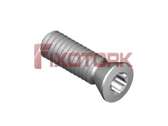 PARAFUSO TORX 25L80-W3607