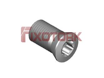 PARAFUSO TORX 50L95-B6420