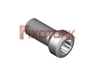 PARAFUSO TORX 25L69-A3608