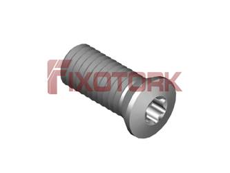 PARAFUSO TORX 50L12-B7015
