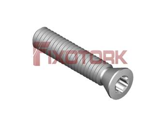 PARAFUSO TORX 25L12-W3607