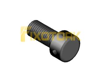 PARAFUSO AXIAL 80L23-AX13DIAM28