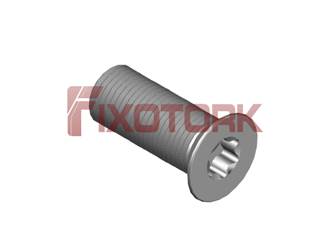 PARAFUSO TORX 35L85-W5309