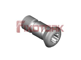 PARAFUSO TORX 50L13-AM7520