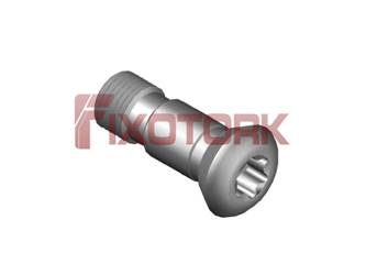PARAFUSO TORX 50L15-AM8020