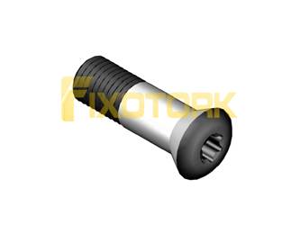 PARAFUSO TORX 60L20-AM9320