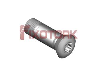 PARAFUSO TORX 80L24-AM1230